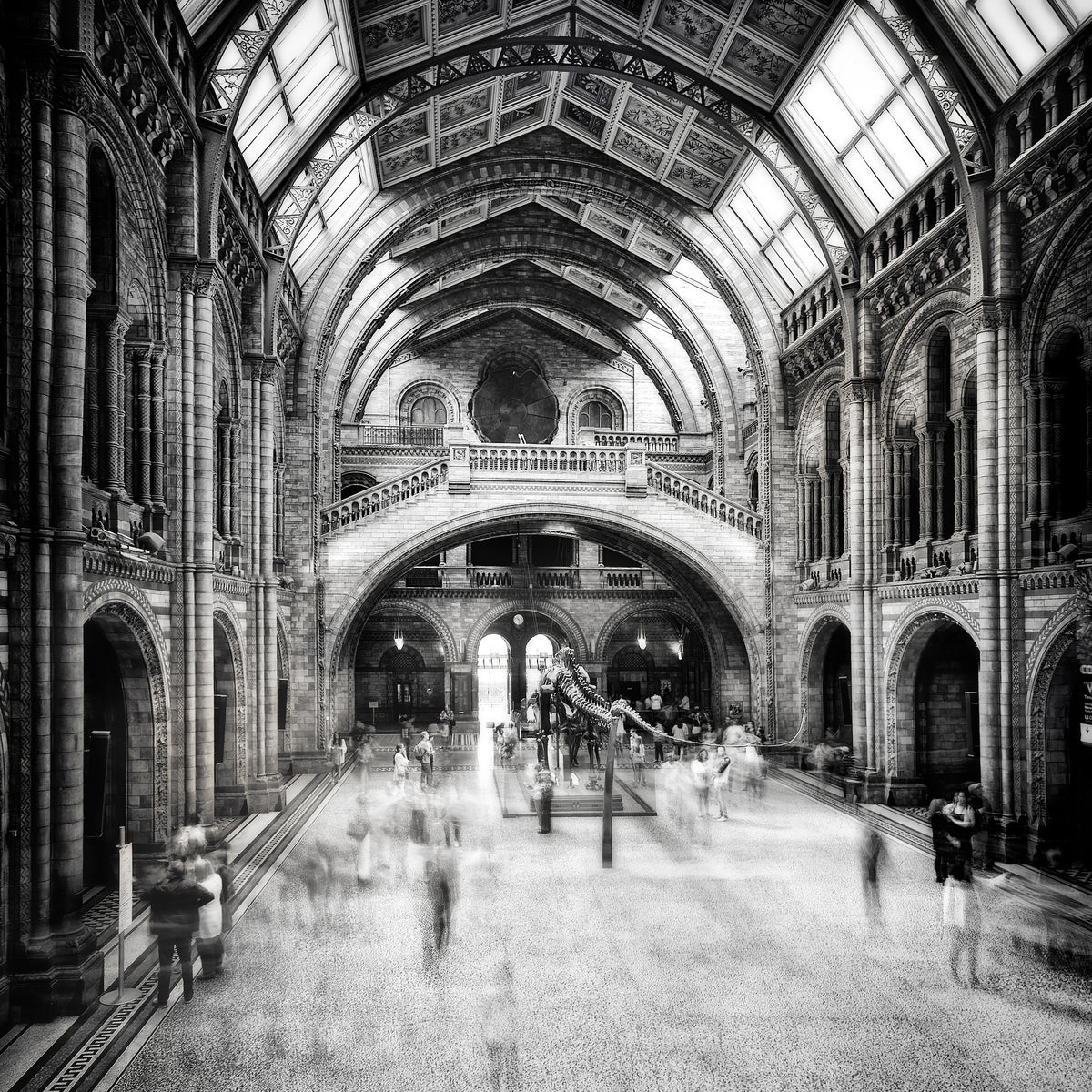 canvas-print-natural-history-museum-of-london-x