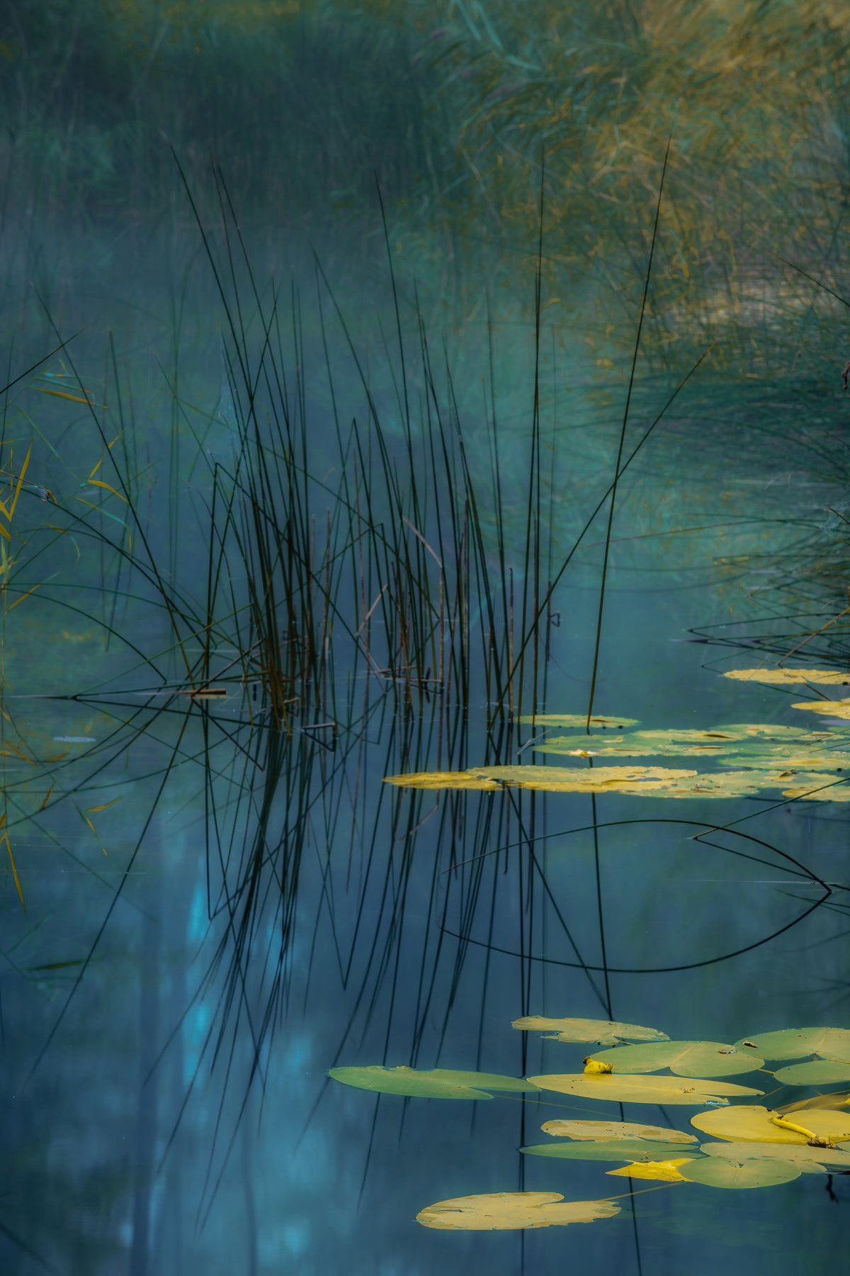 framedposter-print-aqua