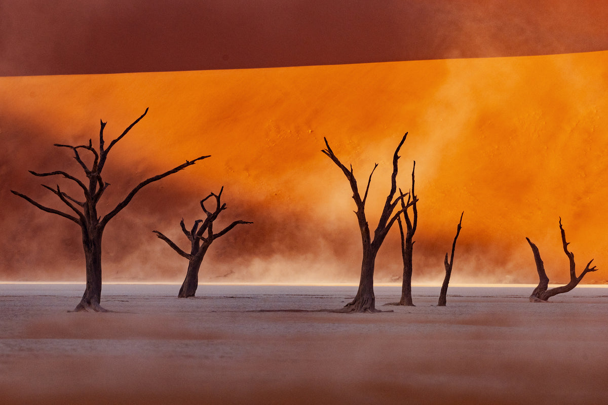 framedposter-print-namibia-the-spirit-of-wilderness