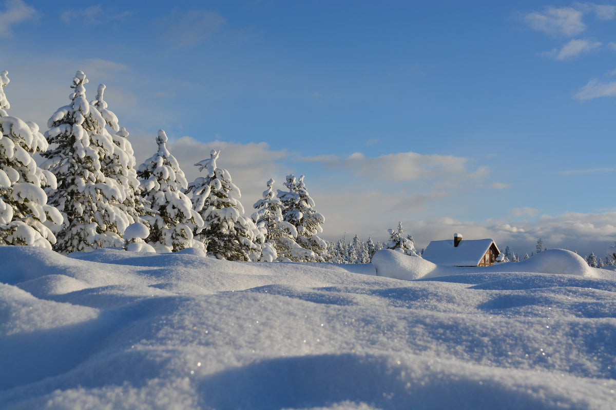 poster-print-beautiful-snow-landscape