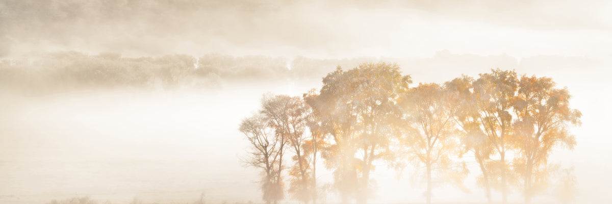 panoramic-aluminium-print-autumn-dreams-panorama