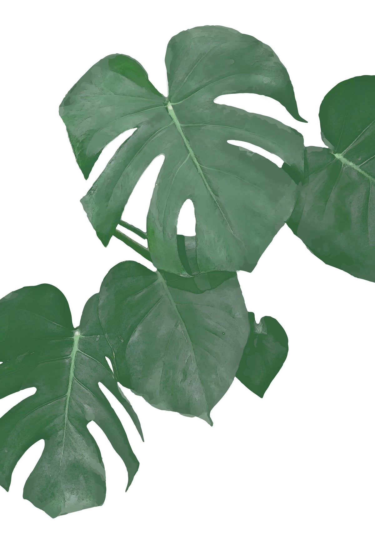 poster-print-monstera-aqua-01