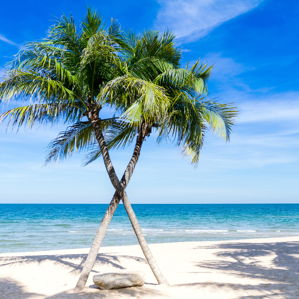 9-piece-acrylic-print-dream-beach-caribbean