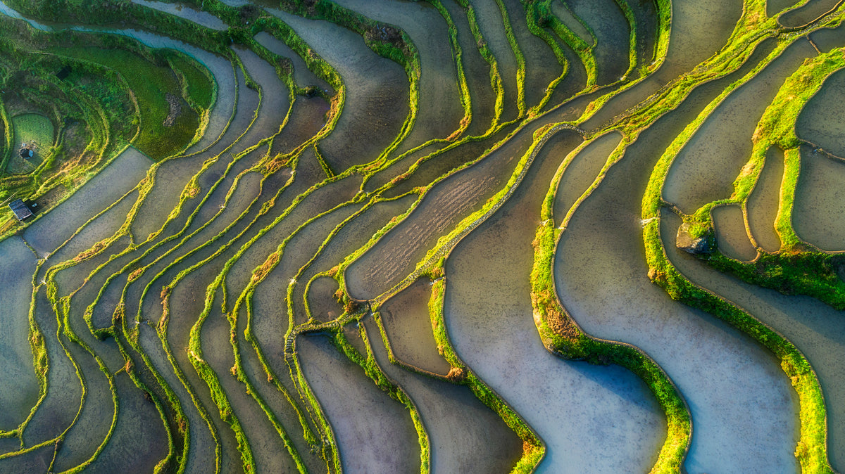 5-piece-acrylic-print-terraced-fields