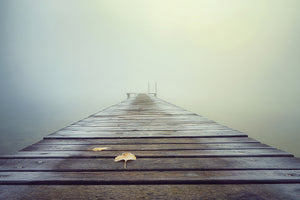 framedcanvas-print-cold-and-misty-morning-x
