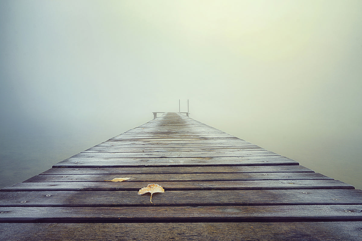 framedcanvas-print-cold-and-misty-morning-x