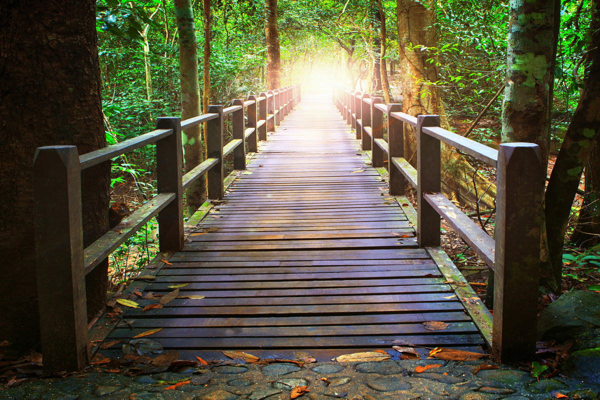 3-piece-aluminium-print-the-bridge-in-the-forest