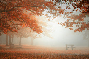 poster-print-the-wonders-of-nature