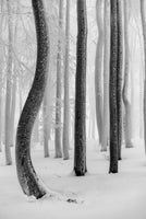 framedposter-print-shapes-3