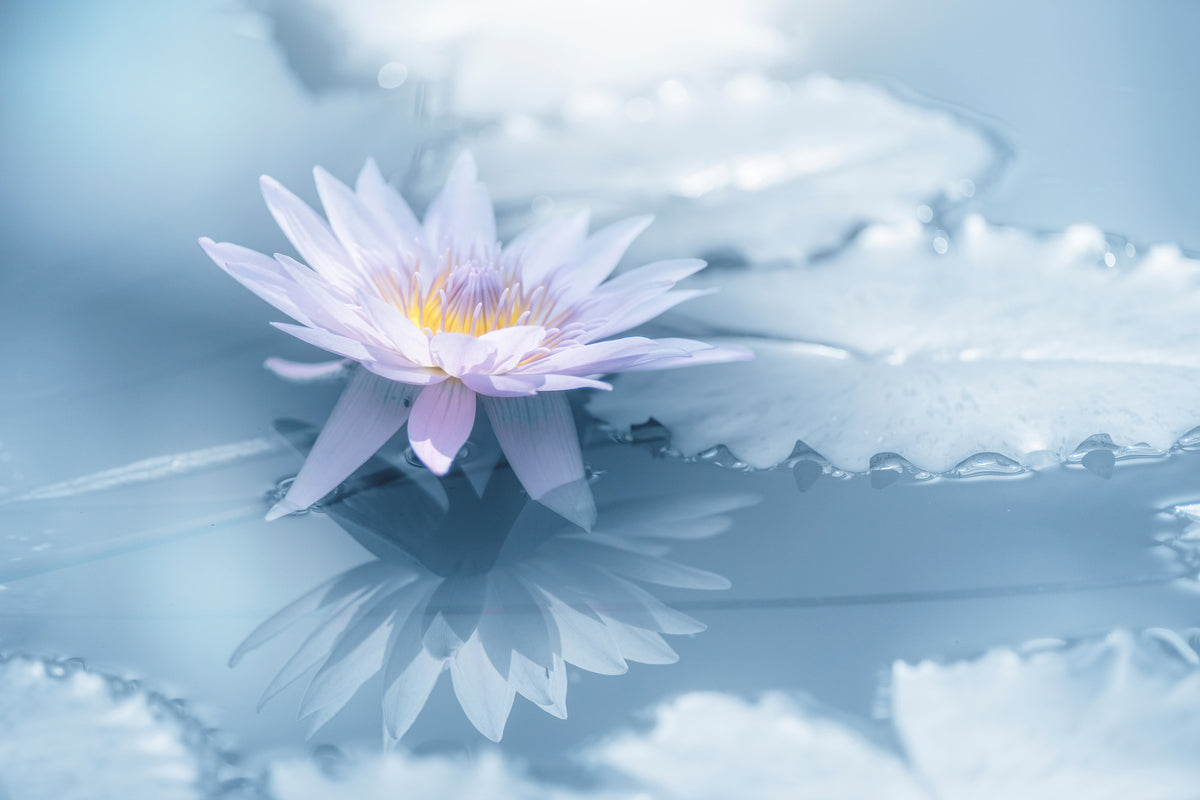 acrylic-print-reflection-xbu