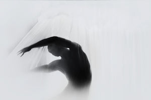 canvas-print-the-dance-of-silence