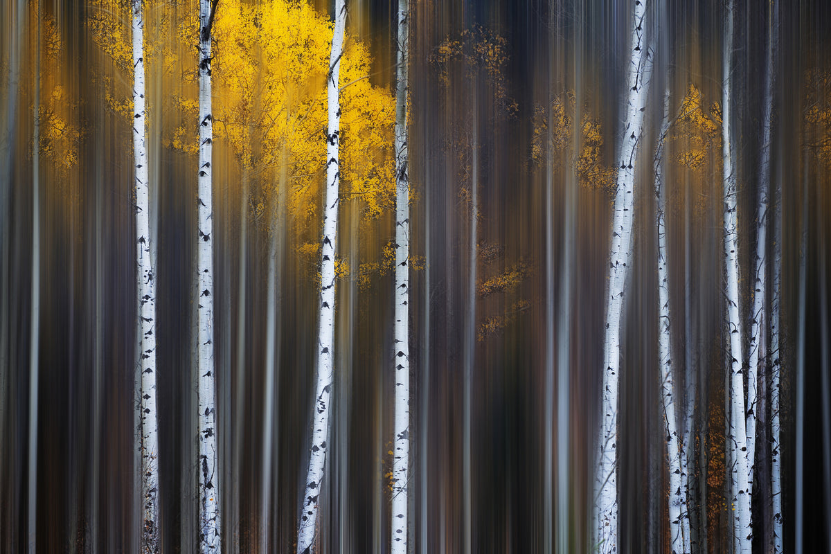 aluminium-print-curtain-of-fall
