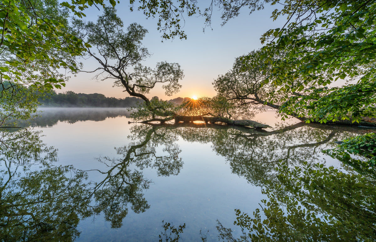 3-piece-aluminium-print-morning-stillness
