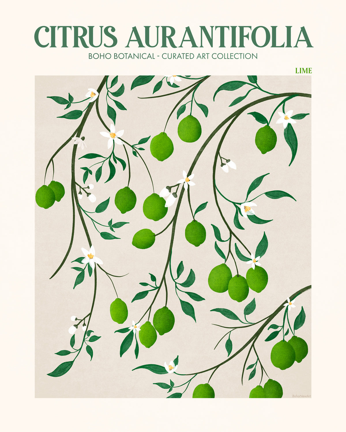 framedposter-print-botanical-lime-bliss