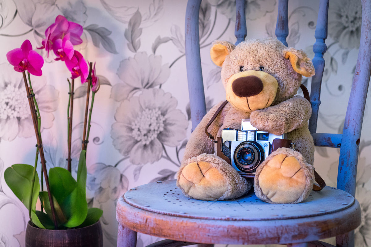 canvas-print-camera-teddy-bear