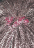 framedposter-print-vivid-portrayal-of-palm-leaves
