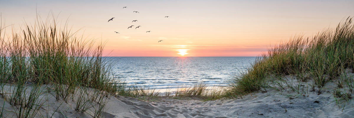 panoramic-poster-print-dune-beach-panorama-at-sunset