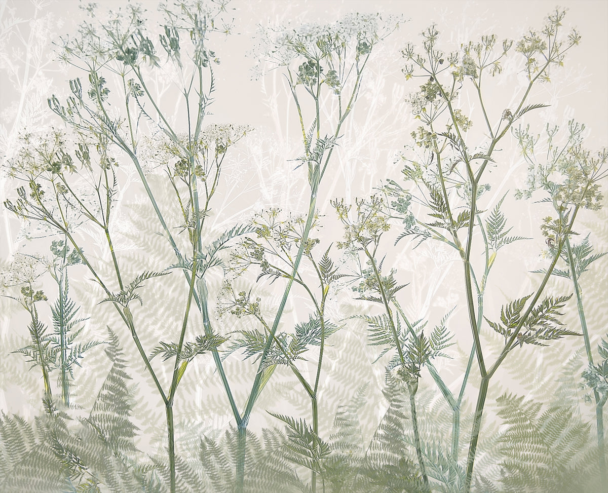aluminium-print-cow-parsley-2