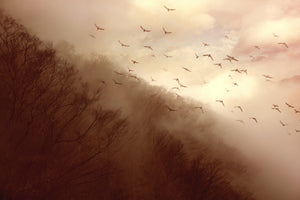 canvas-print-departure