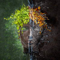 canvas-print-metomorphosis-x