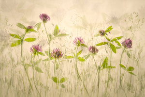 canvas-print-old-luky-times