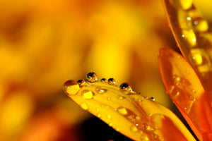 3-piece-aluminium-print-drops-close-up