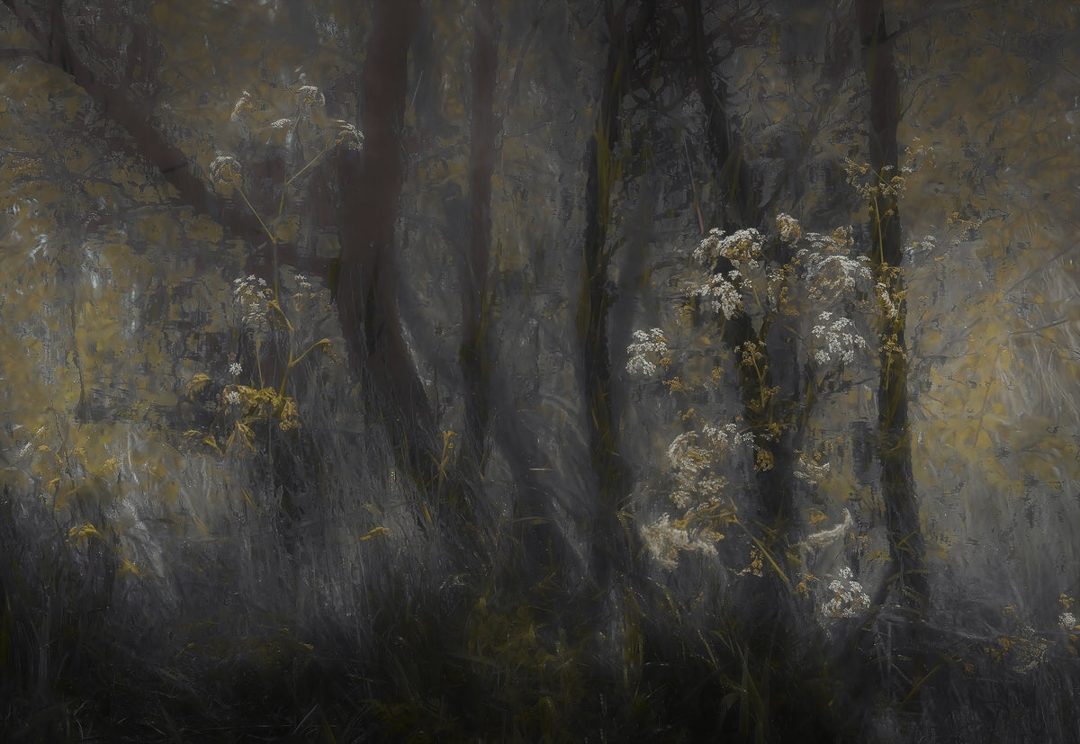 framedcanvas-print-cow-parsley