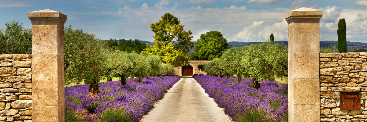 panoramic-3-piece-acrylic-print-lavender-garden-panorama