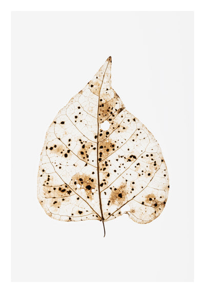 poster-print-dotted-leaf-elegance