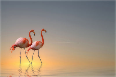 poster-print-serenity-ii