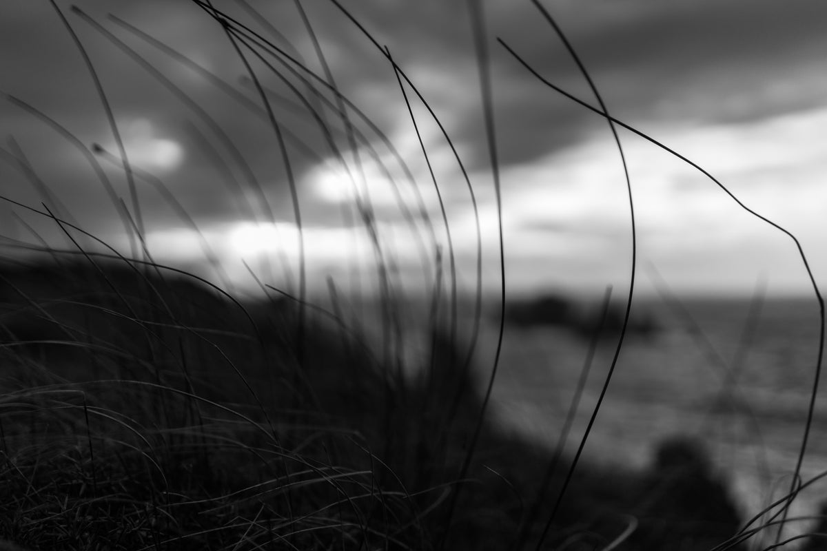 poster-print-the-wind-brings-the-night