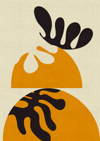 acrylic-print-matisse-cut-outs3