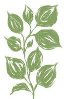 aluminium-print-green-leaves-2