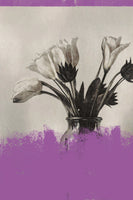 poster-print-vintage-flowers-no13