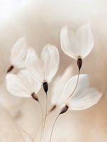 framedcanvas-print-ethereal-blossoms-2