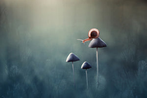 framedcanvas-print-lonely