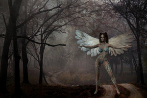 acrylic-print-fantasy-in-the-forest