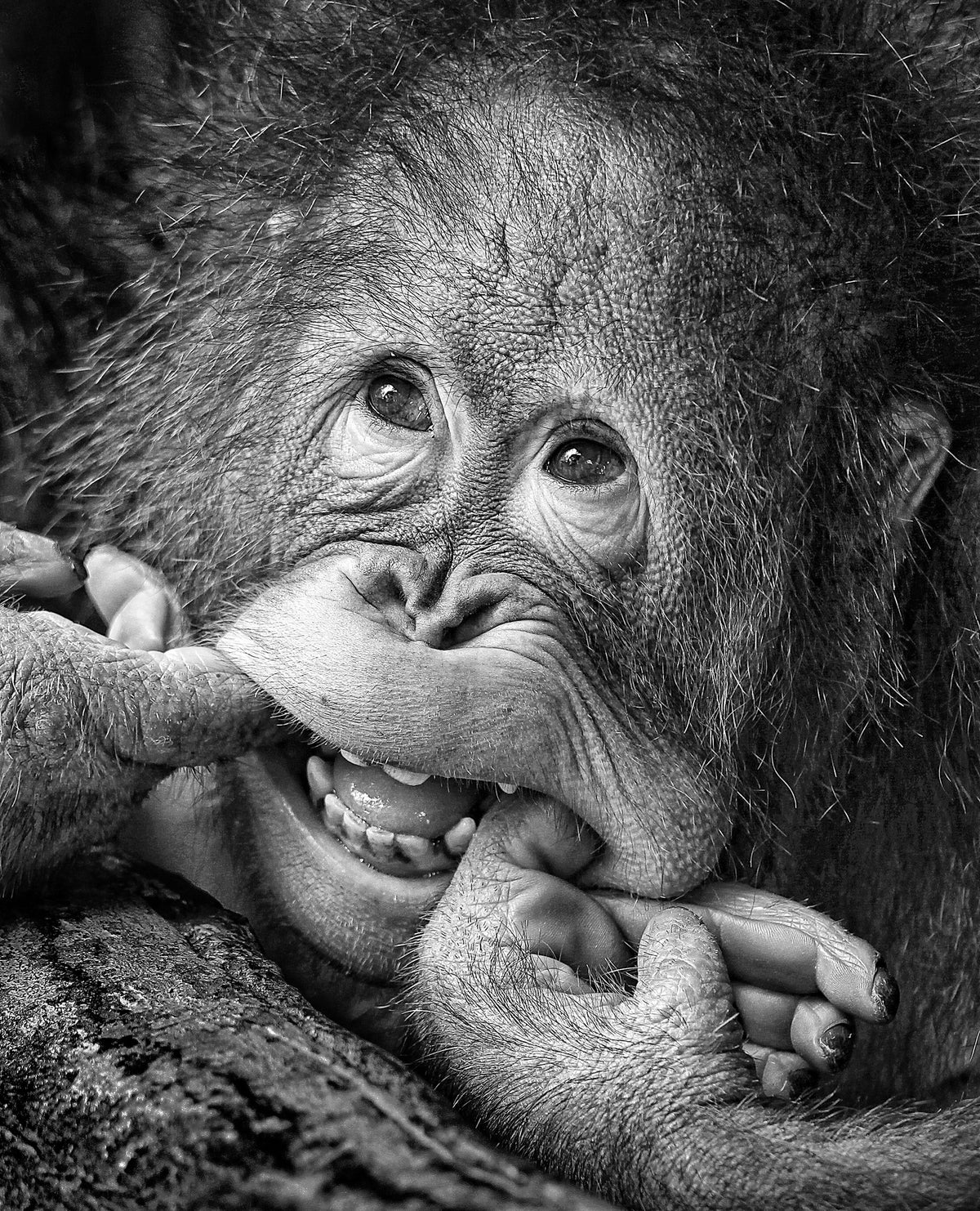 poster-print-big-smileplease
