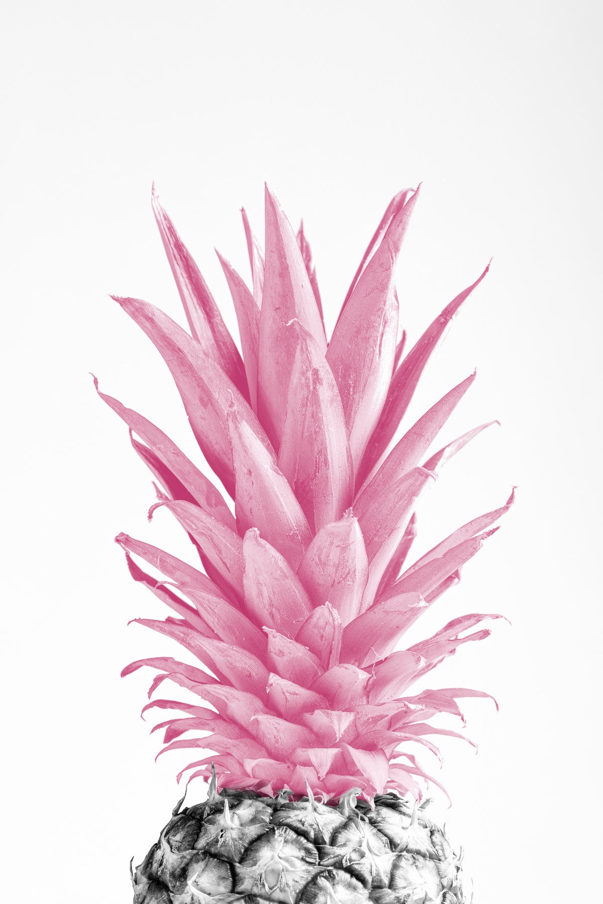 aluminium-print-pinapple-pink-03