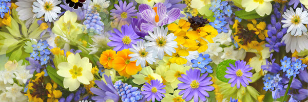 panoramic-canvas-print-fresh-spring-flowers-panorama
