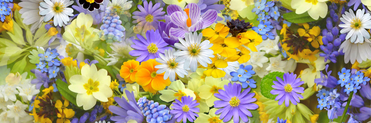 panoramic-canvas-print-fresh-spring-flowers-panorama