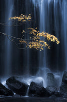canvas-print-yellow-autumn