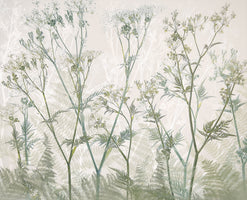 canvas-print-cow-parsley-2