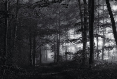 poster-print-solitary