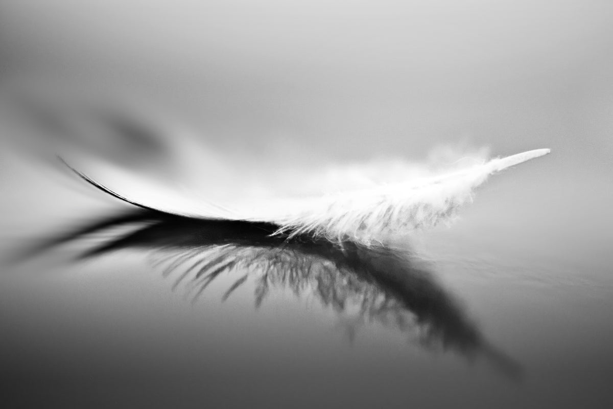 acrylic-print-white-xza