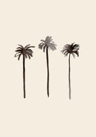 framedcanvas-print-palm-trees-ink