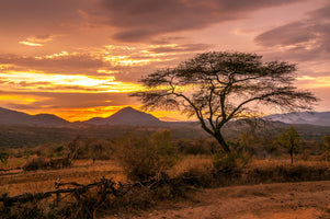 framedposter-print-view-of-the-area-of-the-bana-tribe