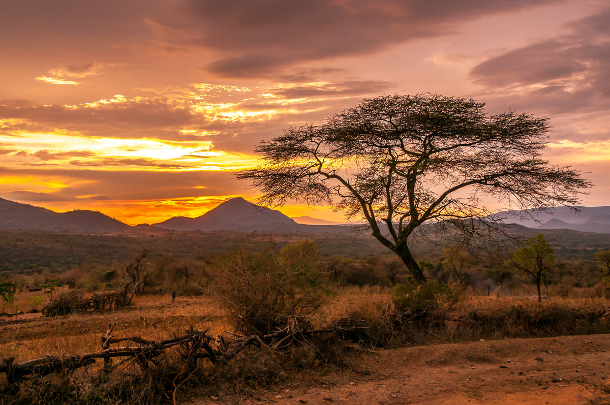 framedposter-print-view-of-the-area-of-the-bana-tribe