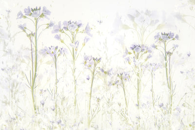 poster-print-spring-at-home