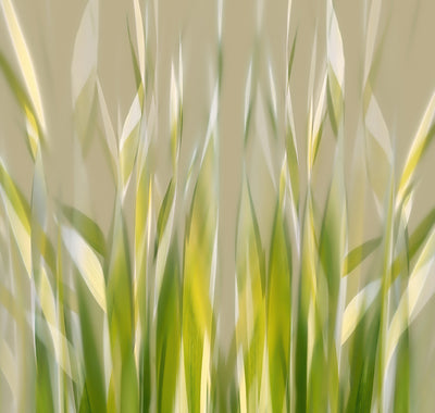 poster-print-dancing-reed